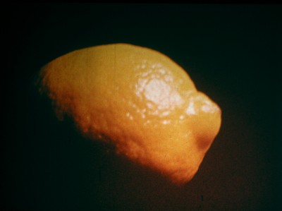 Stills from Hollis Frampton Lemon (For Robert Huot) (1969) 16mm, 7', 16fps, colour, silent. Courtesy LUX, London. (THE 3)