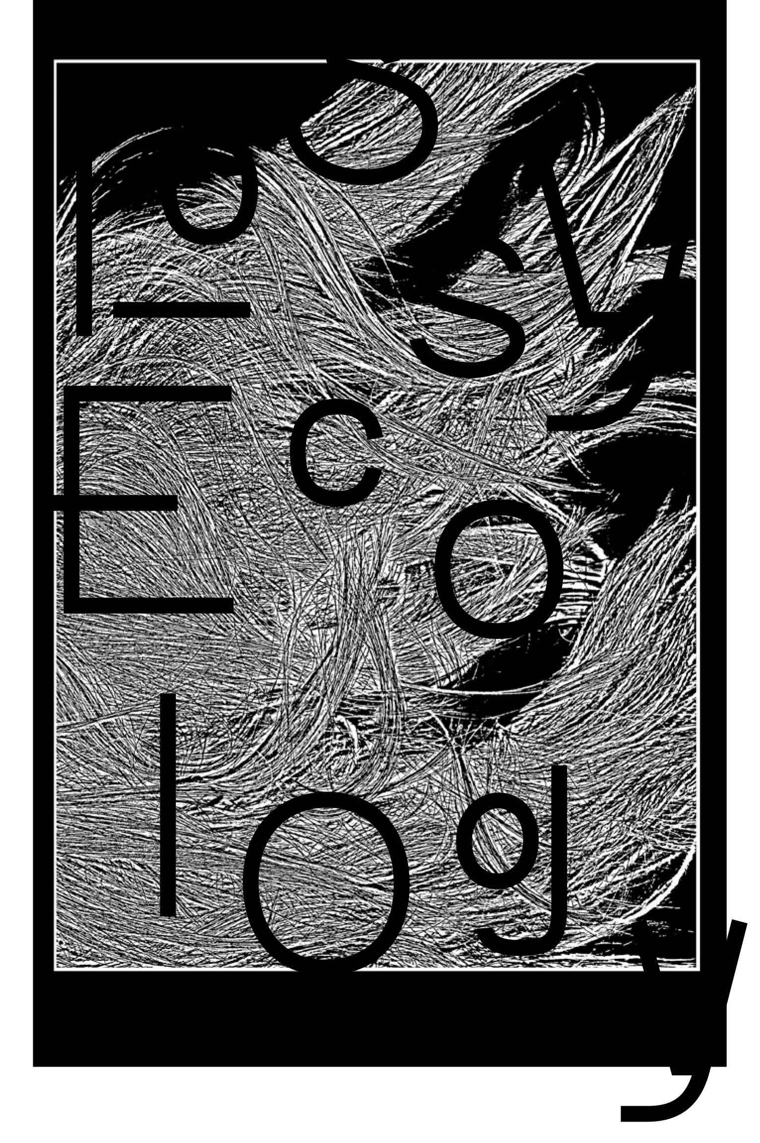 Louisa Martin, Lossy Ecology, 2017 (Louisa Martin Lossy Ecology Publication launch 1)