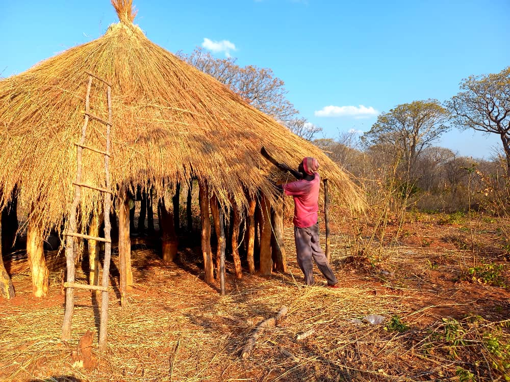 FTHO collaborating with Wayi Wayi Art Studio & Gallery (Livingstone, Zambia) on cultural exchange research project